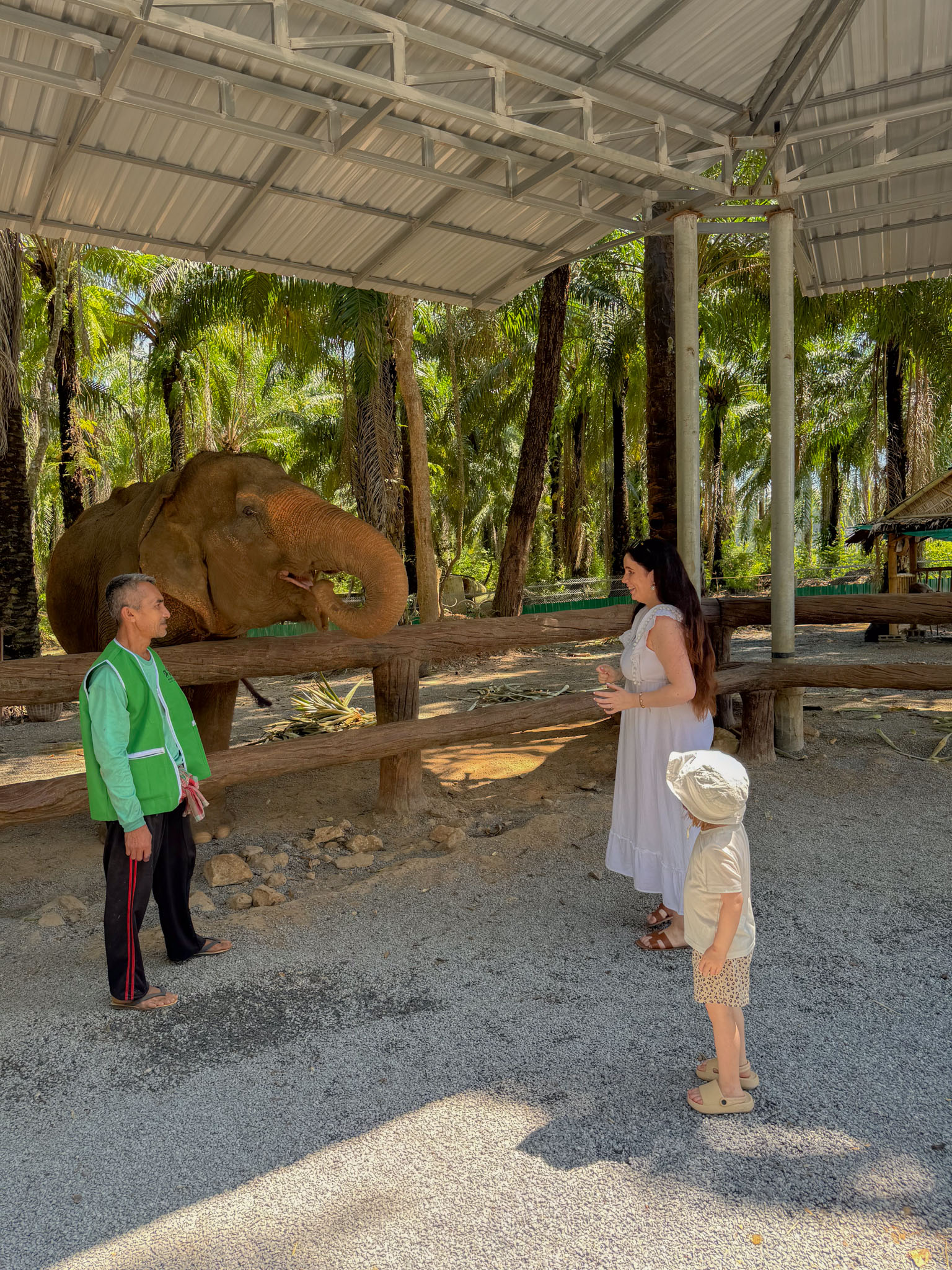 Elephant Sanctuary i Krabi