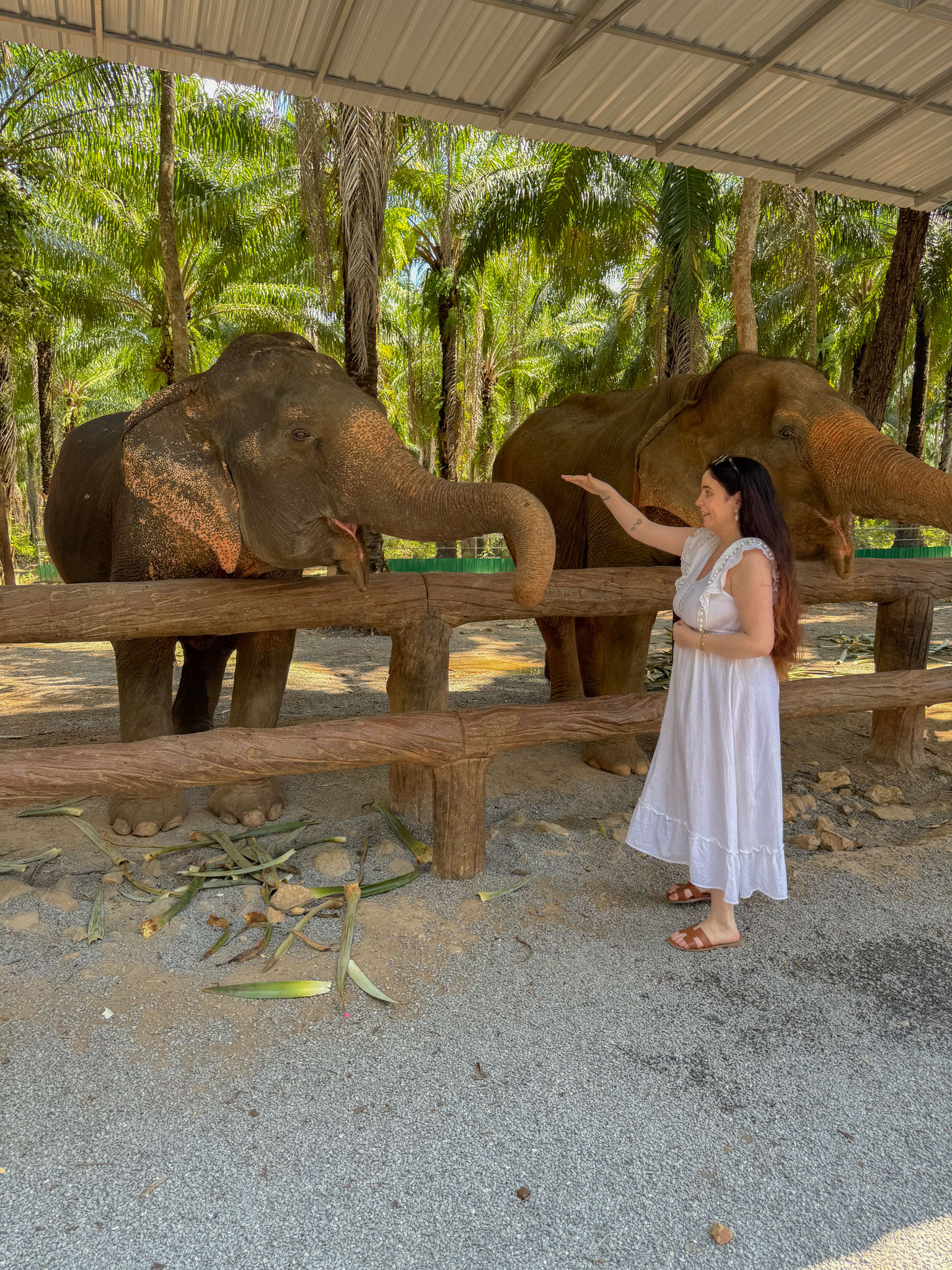 Elephant Sanctuary i Krabi