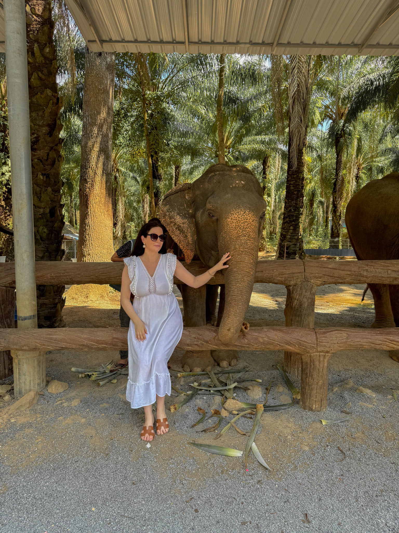 Elephant Sanctuary i Krabi