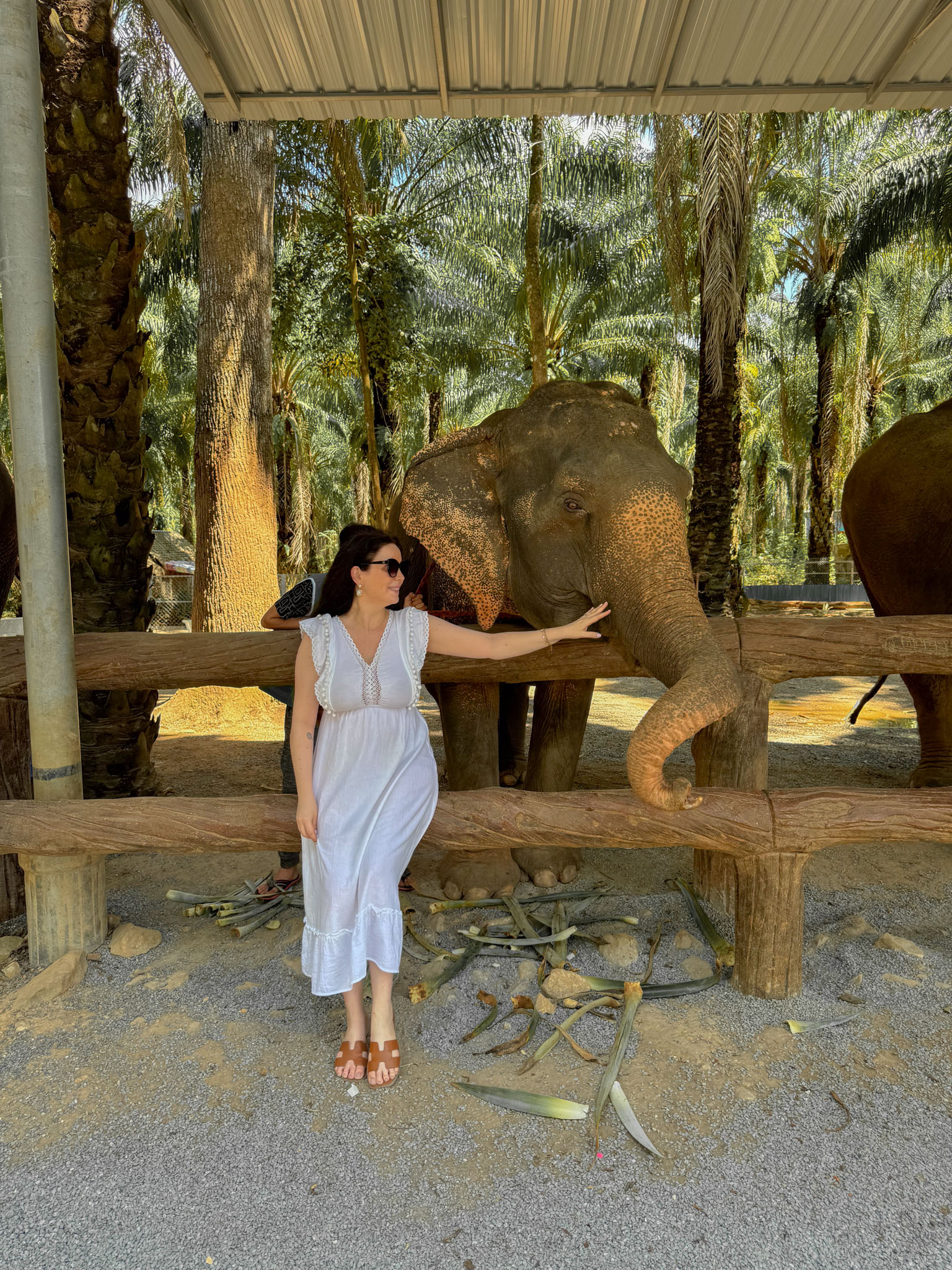 Elephant Sanctuary i Krabi